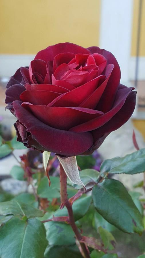 Le Rose Di Modica Villa Bagian luar foto